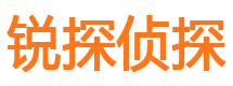 岭东寻人公司